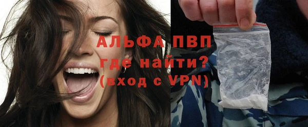 индика Абаза