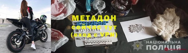 индика Абаза