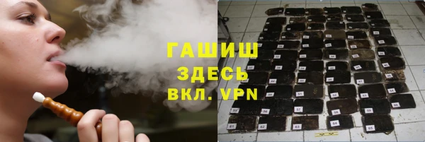 индика Абаза