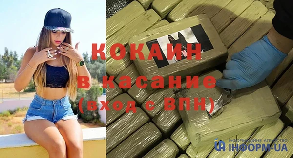 индика Абаза