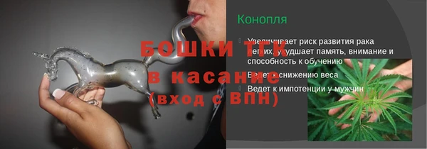индика Абаза