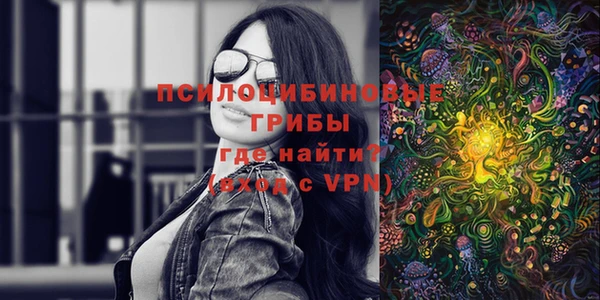 хмурый Абинск