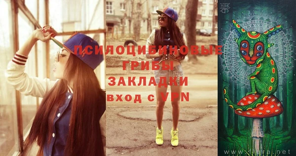 спиды Горняк