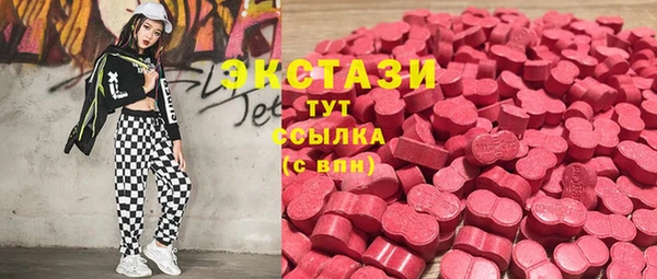 индика Абаза
