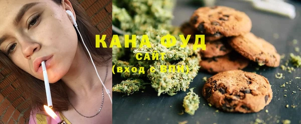 индика Абаза