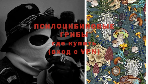 ECSTASY Елизово